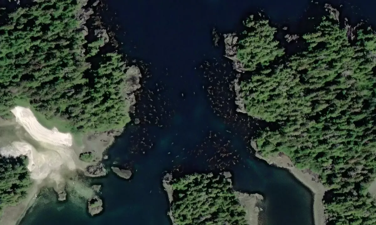 Satelite image of Pirate Cove