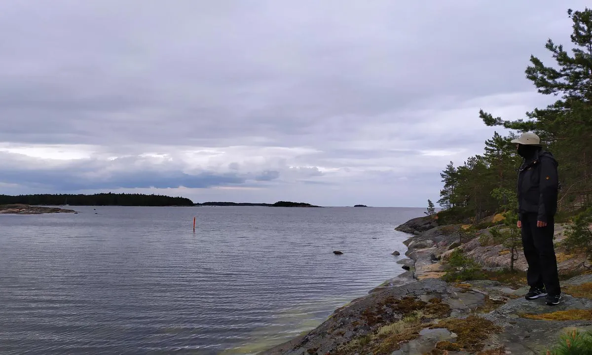 Pirttisaari: Enterance to harbour