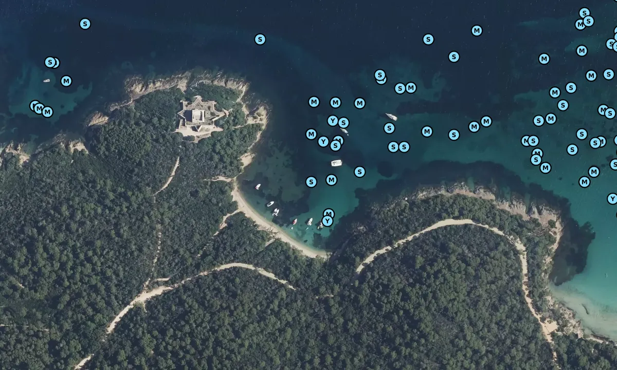 Satelite image of Plage de l'Alycastre