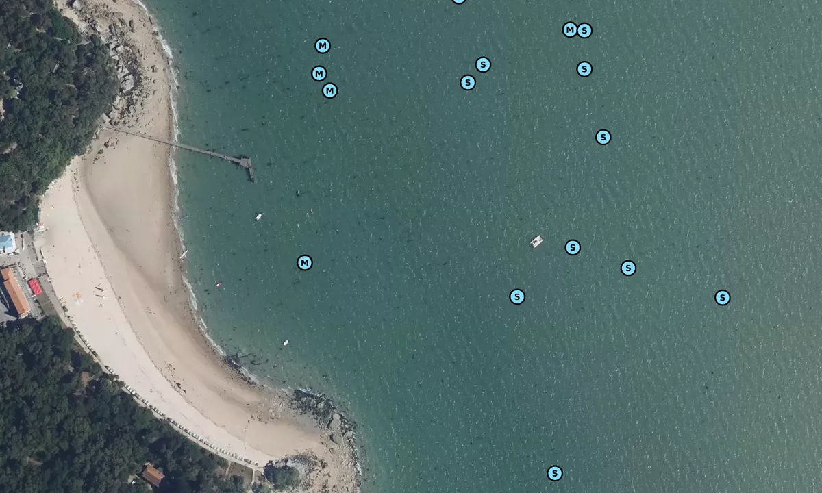 Satelite image of Plage des Dames
