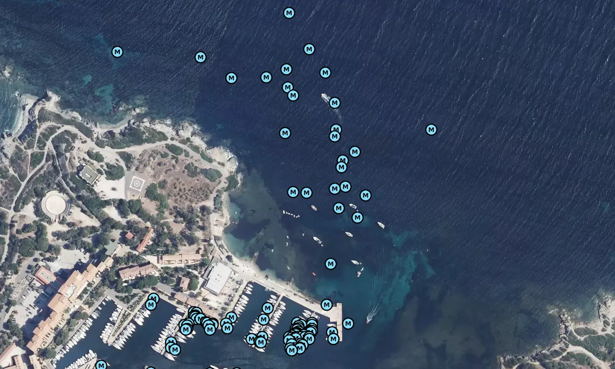 Satelite image of Plage des Salins
