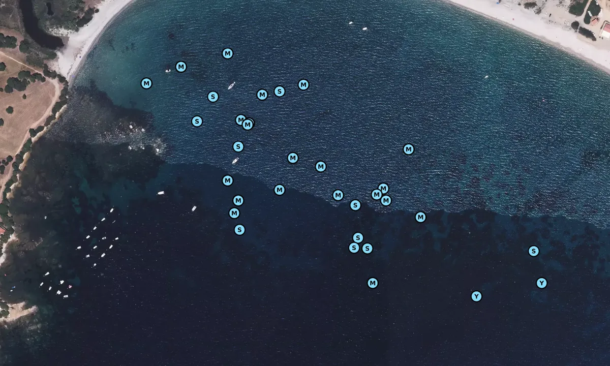 Satelite image of Plage du Taravo