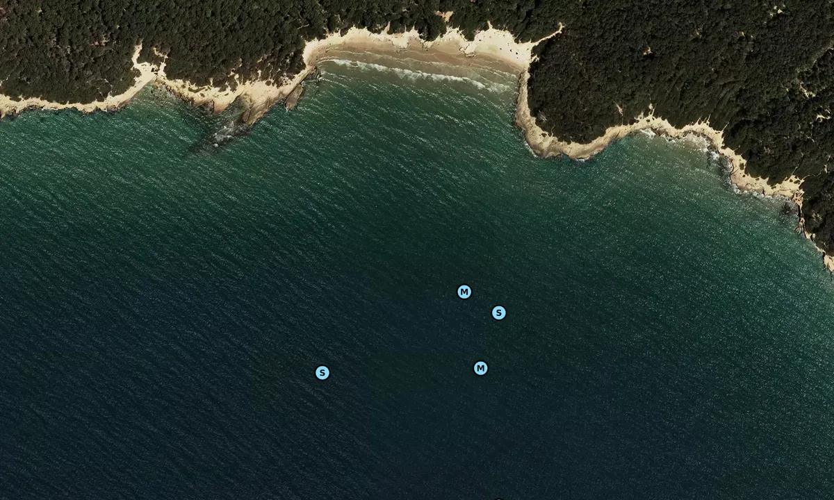 Satelite image of Platja de Calabecs