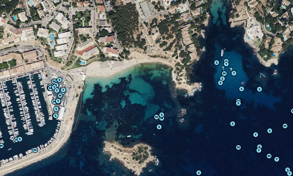 Satelite image of Platja de S'oratori