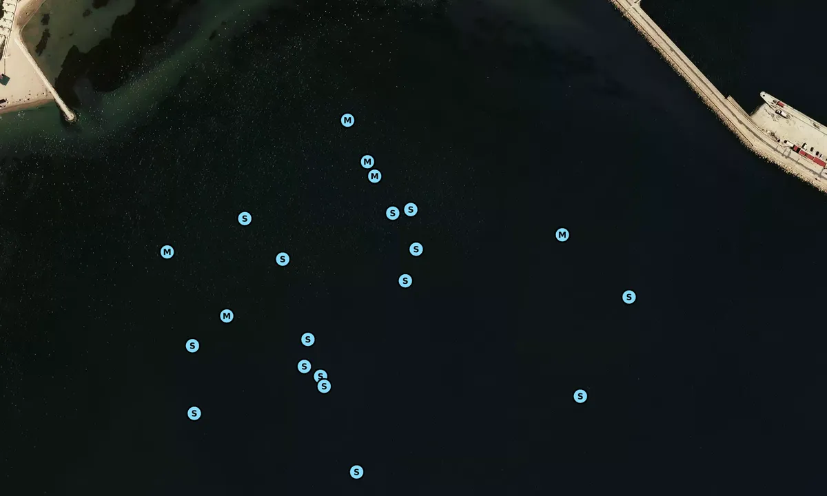 Satelite image of Platja del parc de Garbí