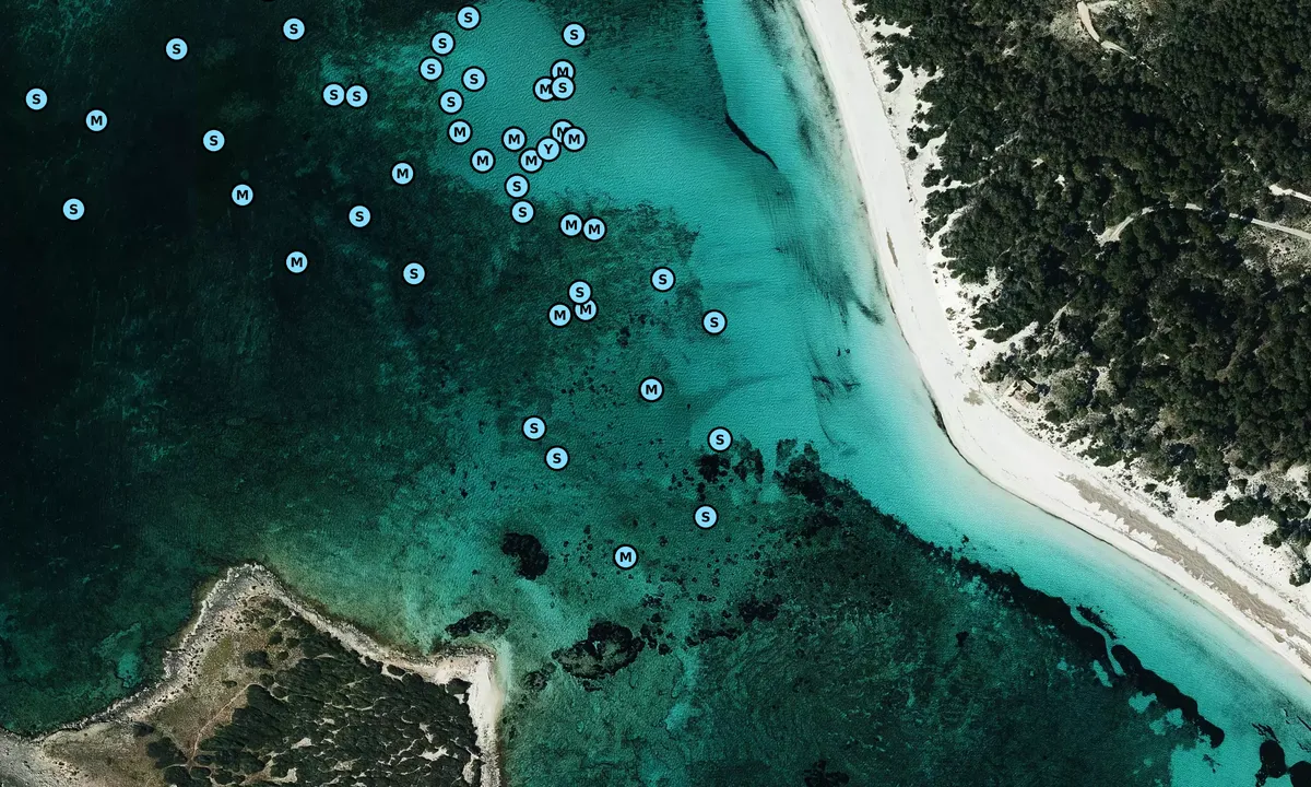 Satelite image of Platja d'es Carbó