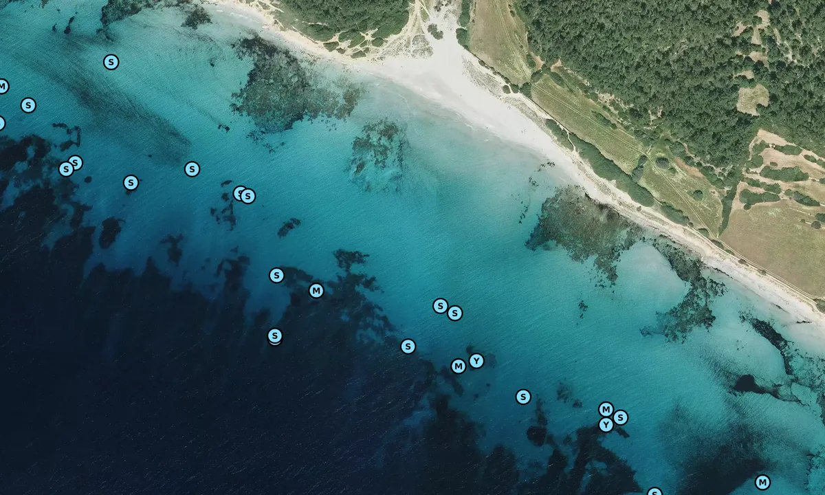 Satelite image of Playa Binigaus