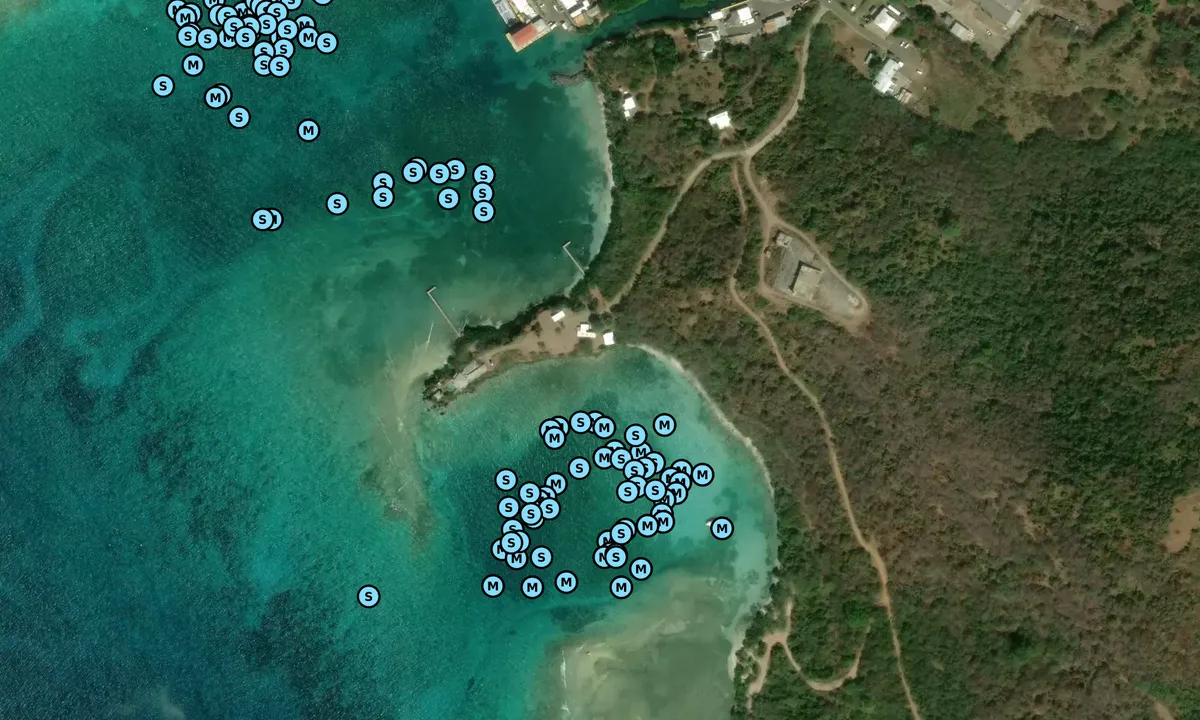 Satelite image of Playa datiles