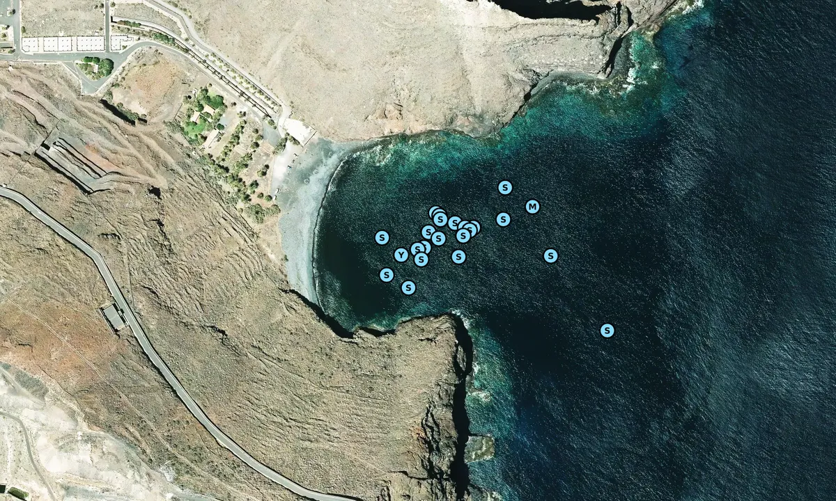 Satelite image of Playa de Avalo