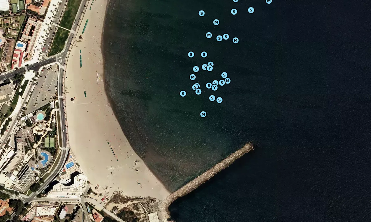 Satelite image of Playa de la pineda