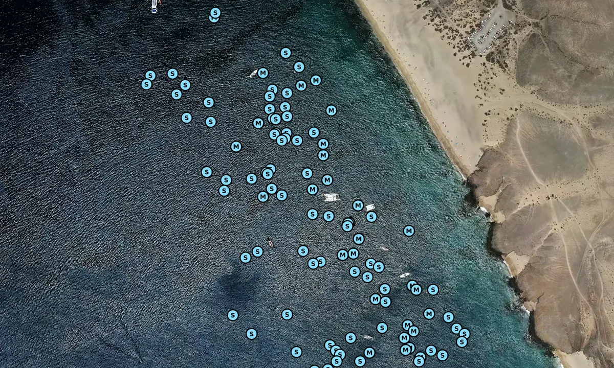 Satelite image of Playa Papagayo