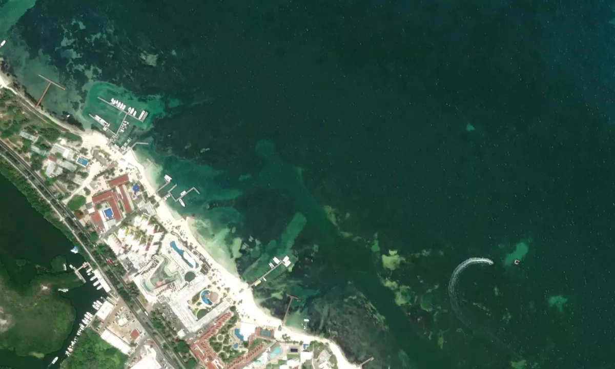 Flyfoto av Playa Tortugas