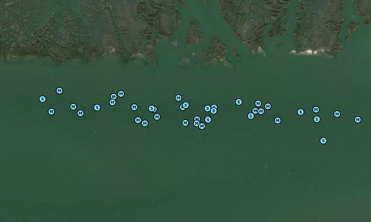 Satelite image of Pleasants Point