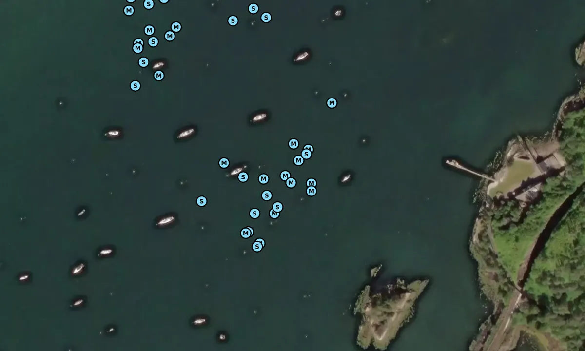 Satelite image of Plockton visitor moorings