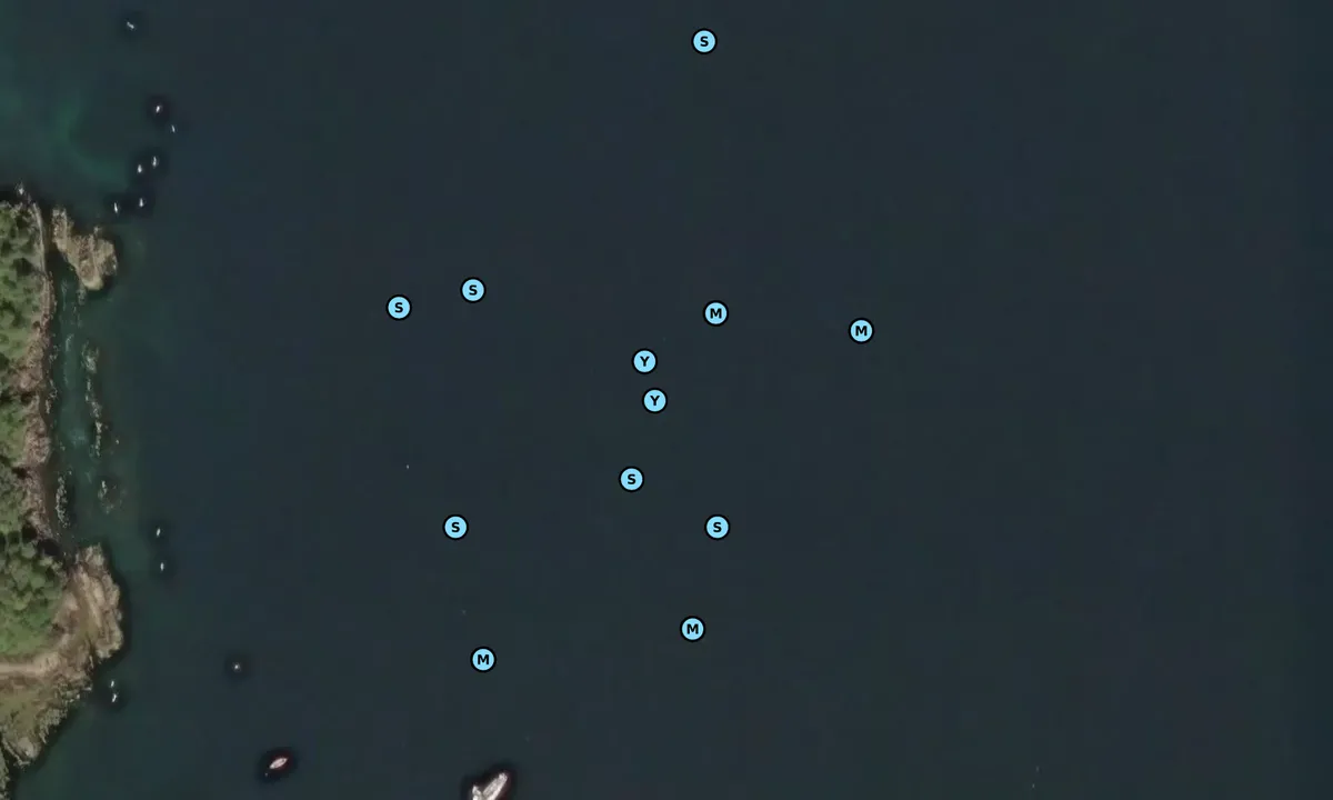 Satelite image of Plocton outer anchorage
