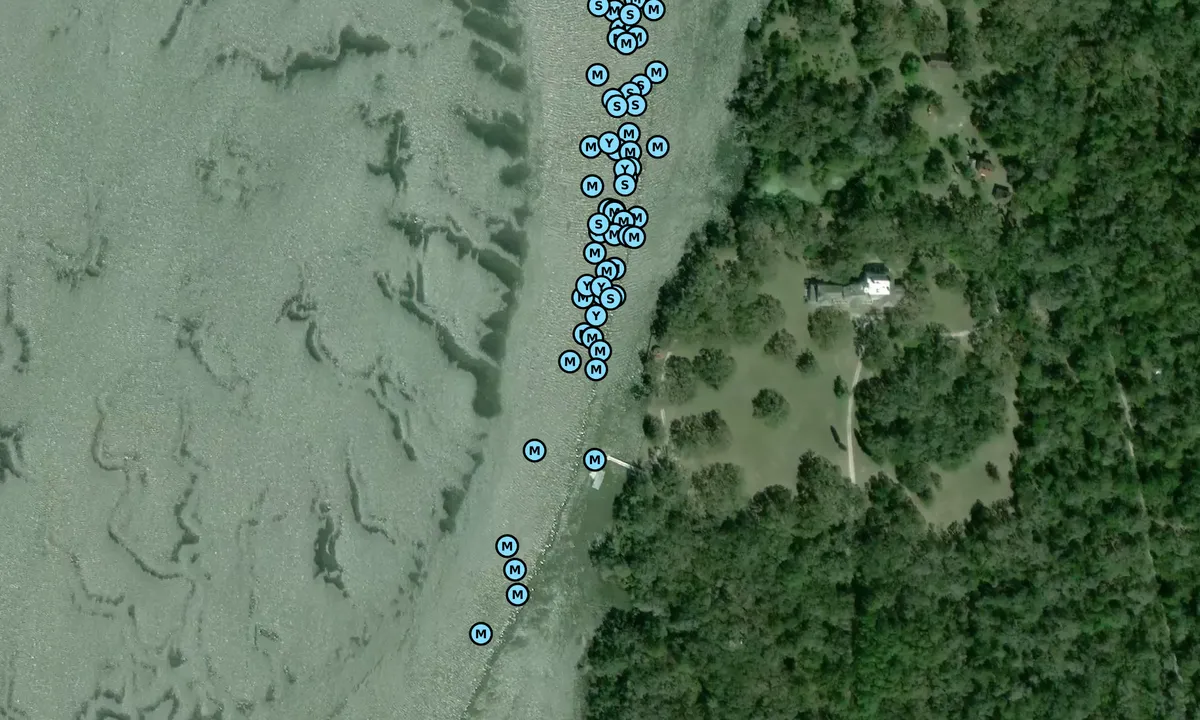 Satelite image of Plum Orchard