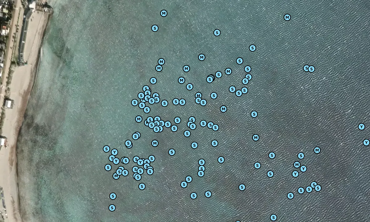 Satelite image of Poetto 1