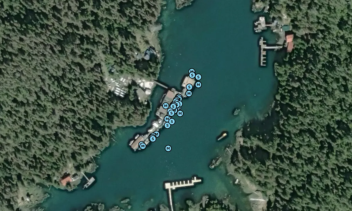 Satelite image of Point Baker Marina