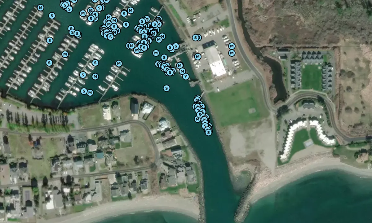Satelite image of Point Roberts Marina