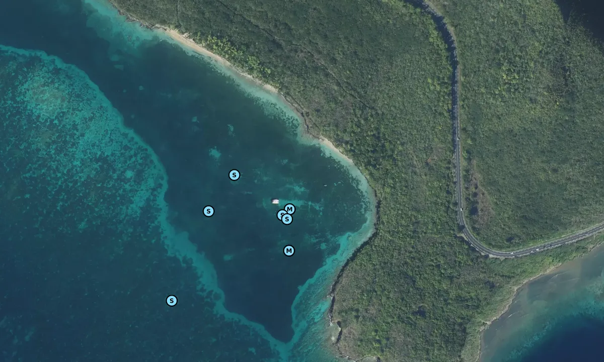 Satelite image of Pointe Borgnèse – Le Marin