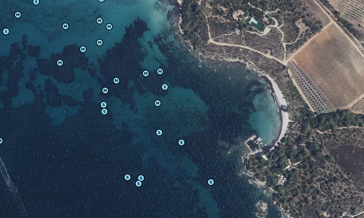 Satelite image of Pointe de la Vignasse