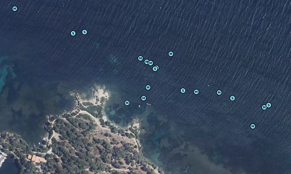 Satelite image of Pointe du Canouvié