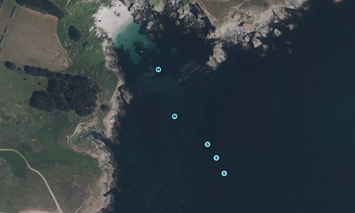 Satelite image of Pointe du Grand Village