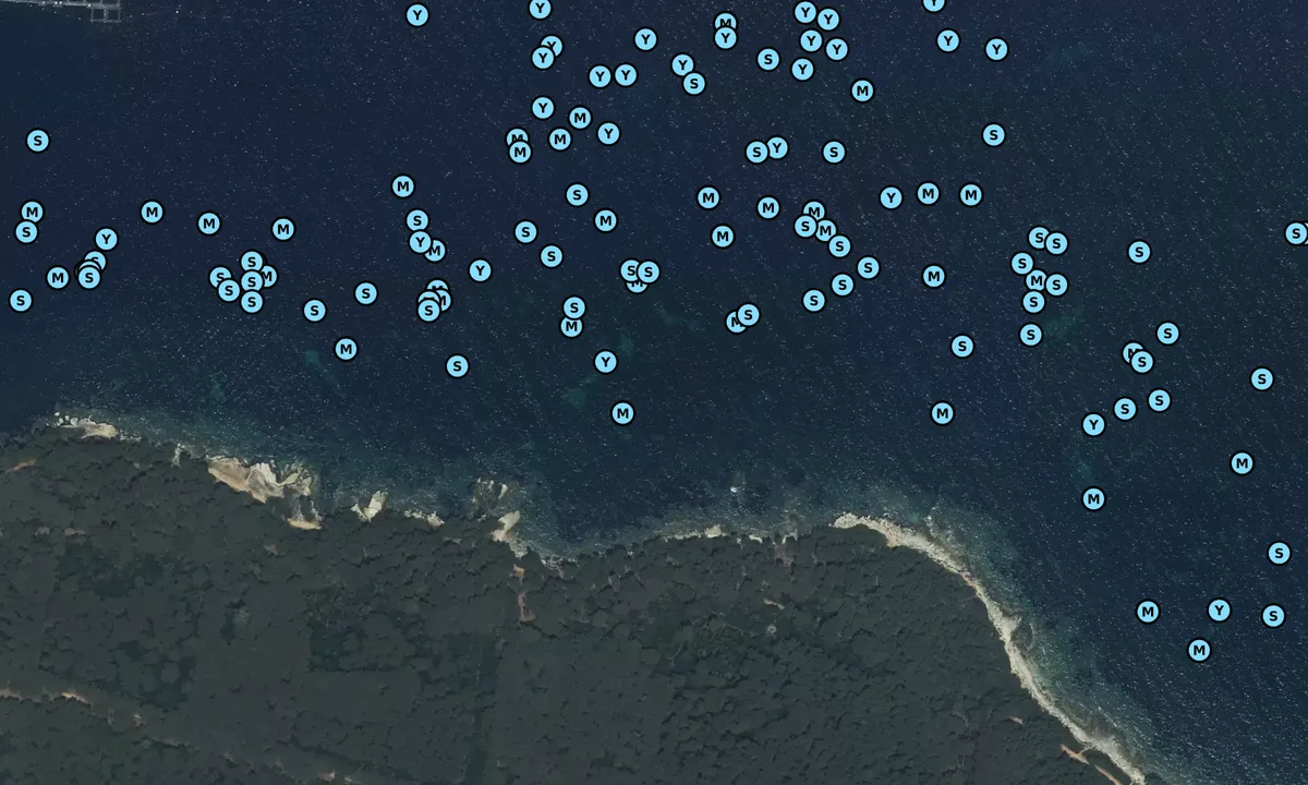 Satelite image of Pointe du Vengeur