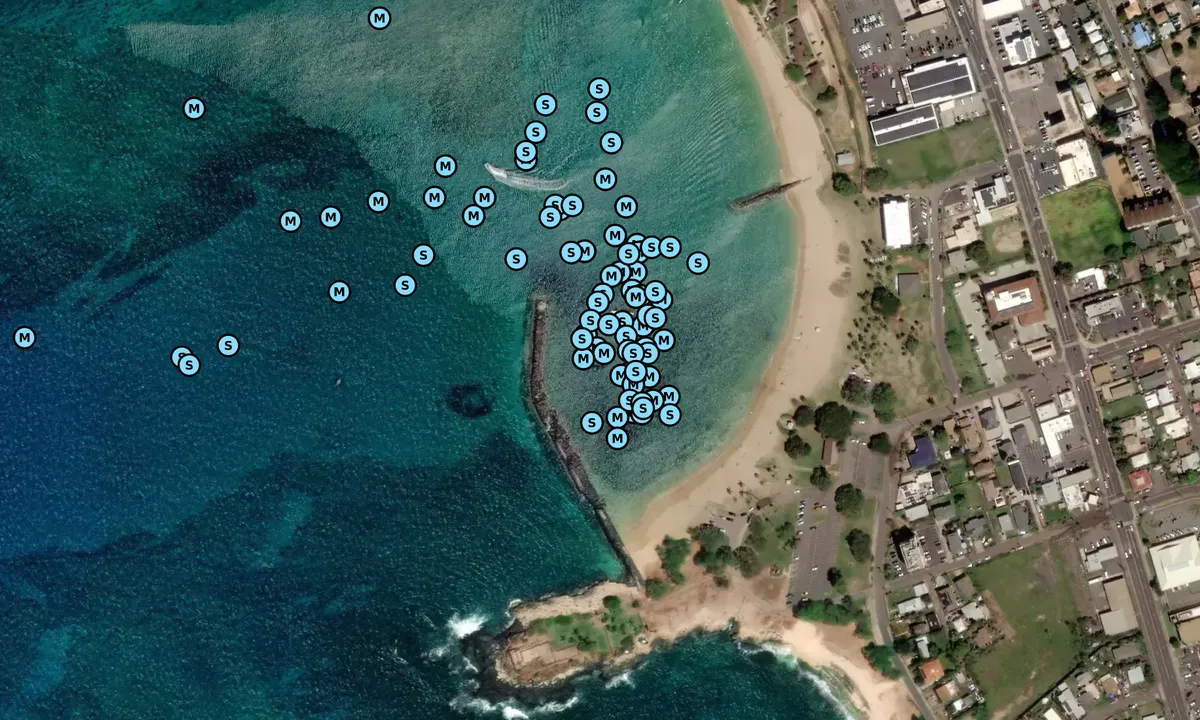 Satelite image of Pokai Bay 1