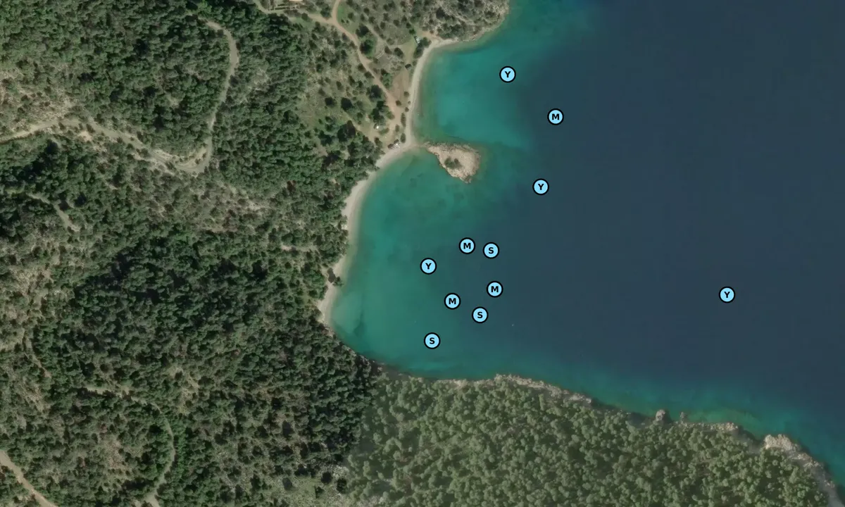 Satelite image of Polemarcha beach