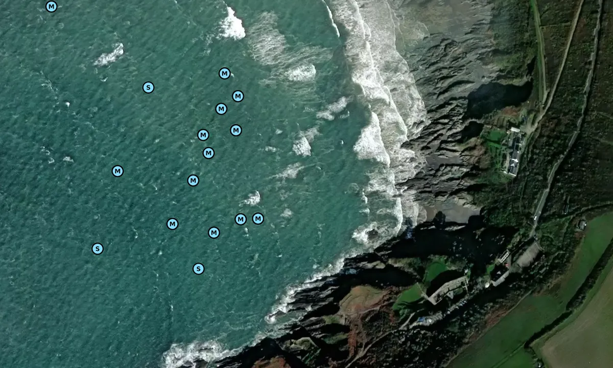 Satelite image of Polhawn Cove