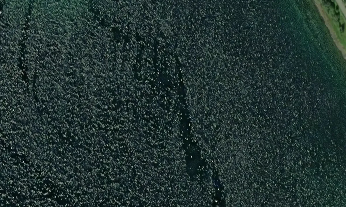 Satelite image of Pollen - Indre Årnes