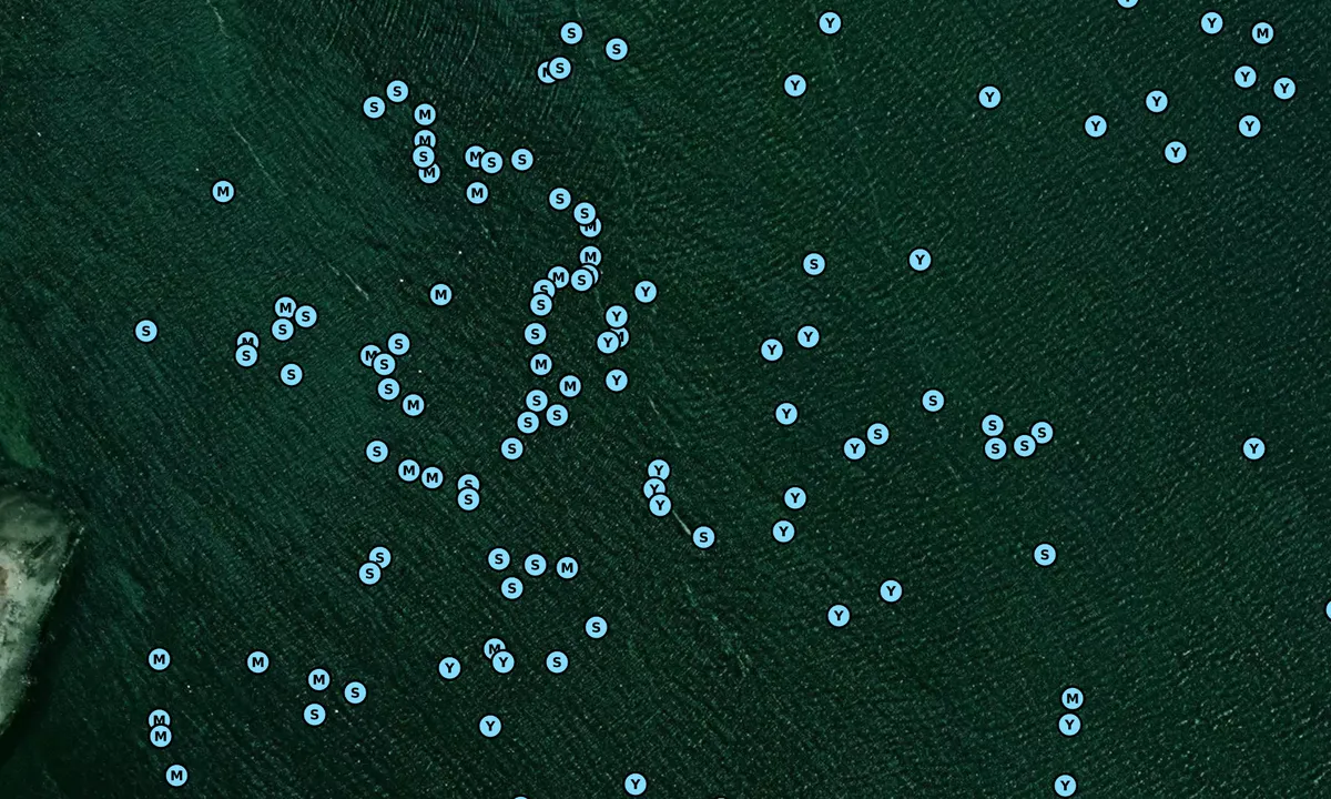 Satelite image of Pomroy Rock