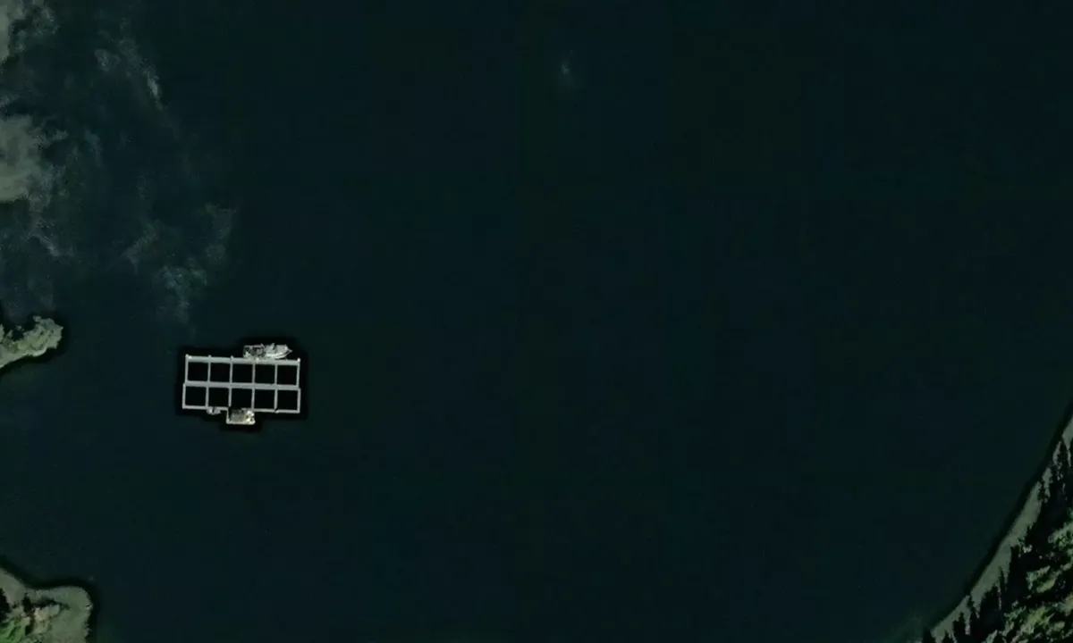 Satelite image of Port Asumcion