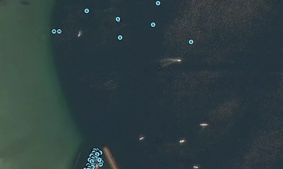 Satelite image of Port Bannatyne Anchorage