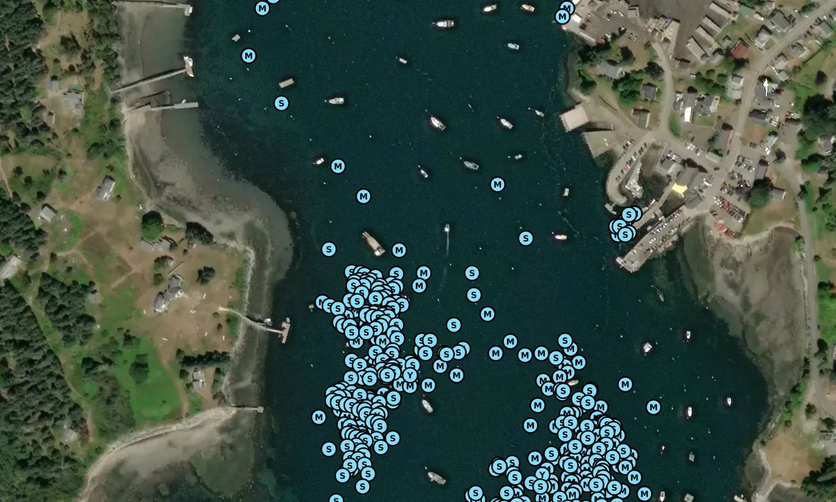 Satelite image of Port Clyde (moorings)