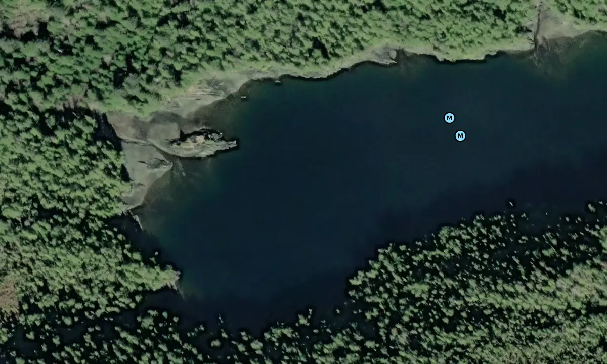 Satelite image of Port Johnson