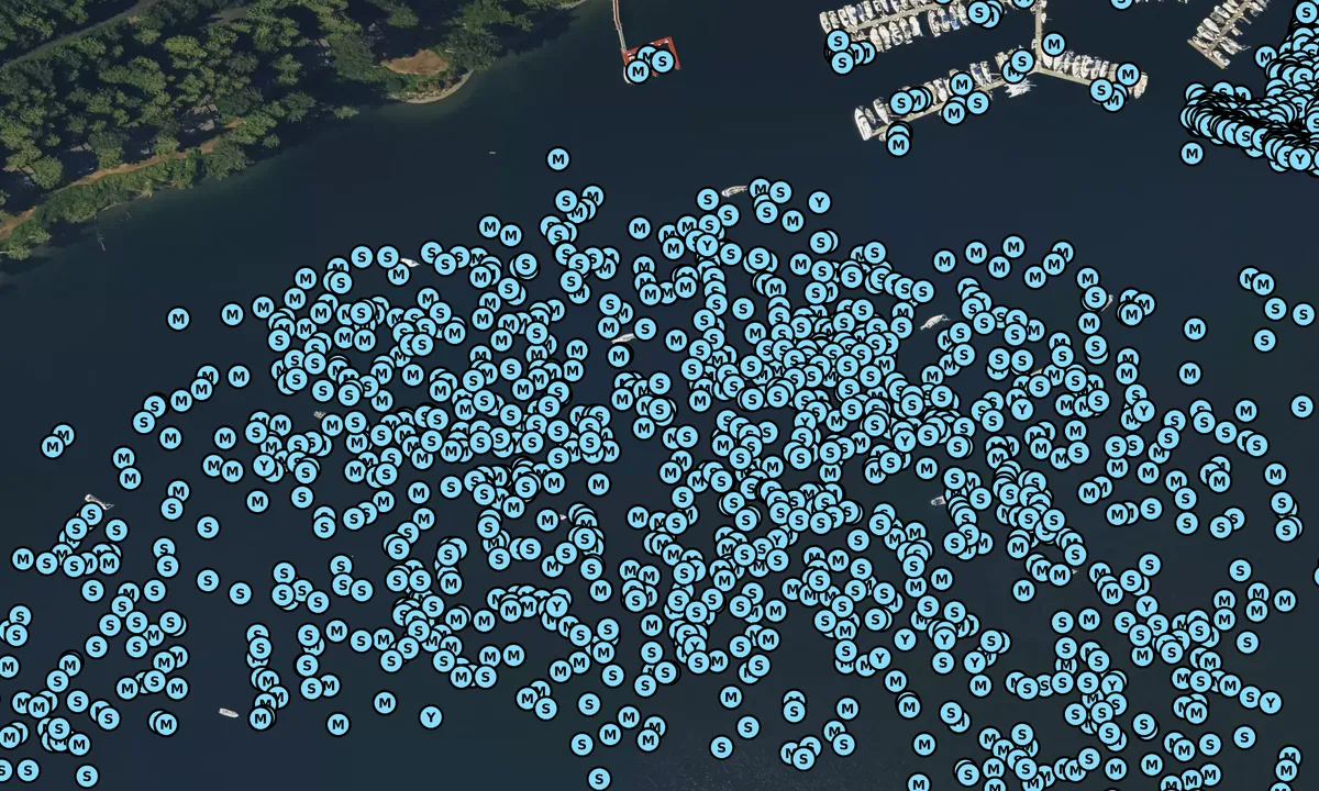 Satelite image of Port Ludlow Anchorage