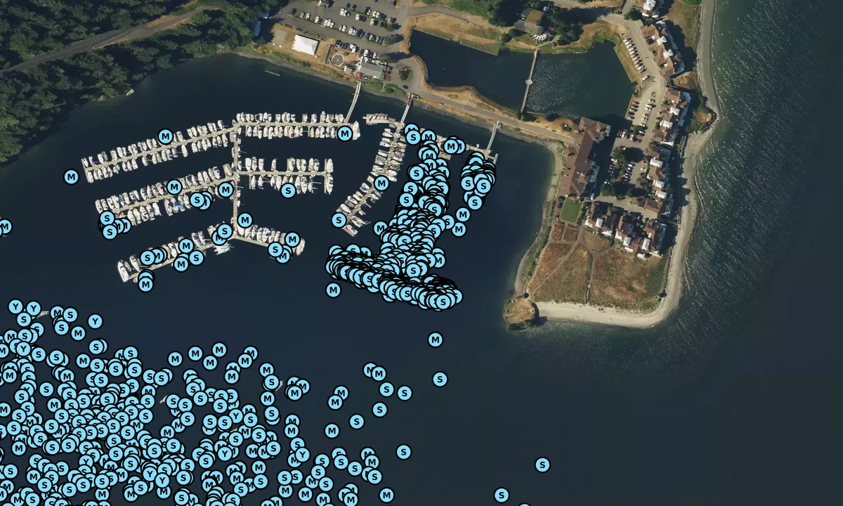 Satelite image of Port Ludlow Marina