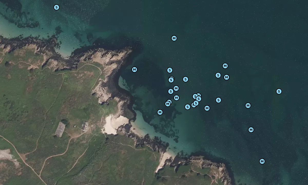 Satelite image of Port Navallo