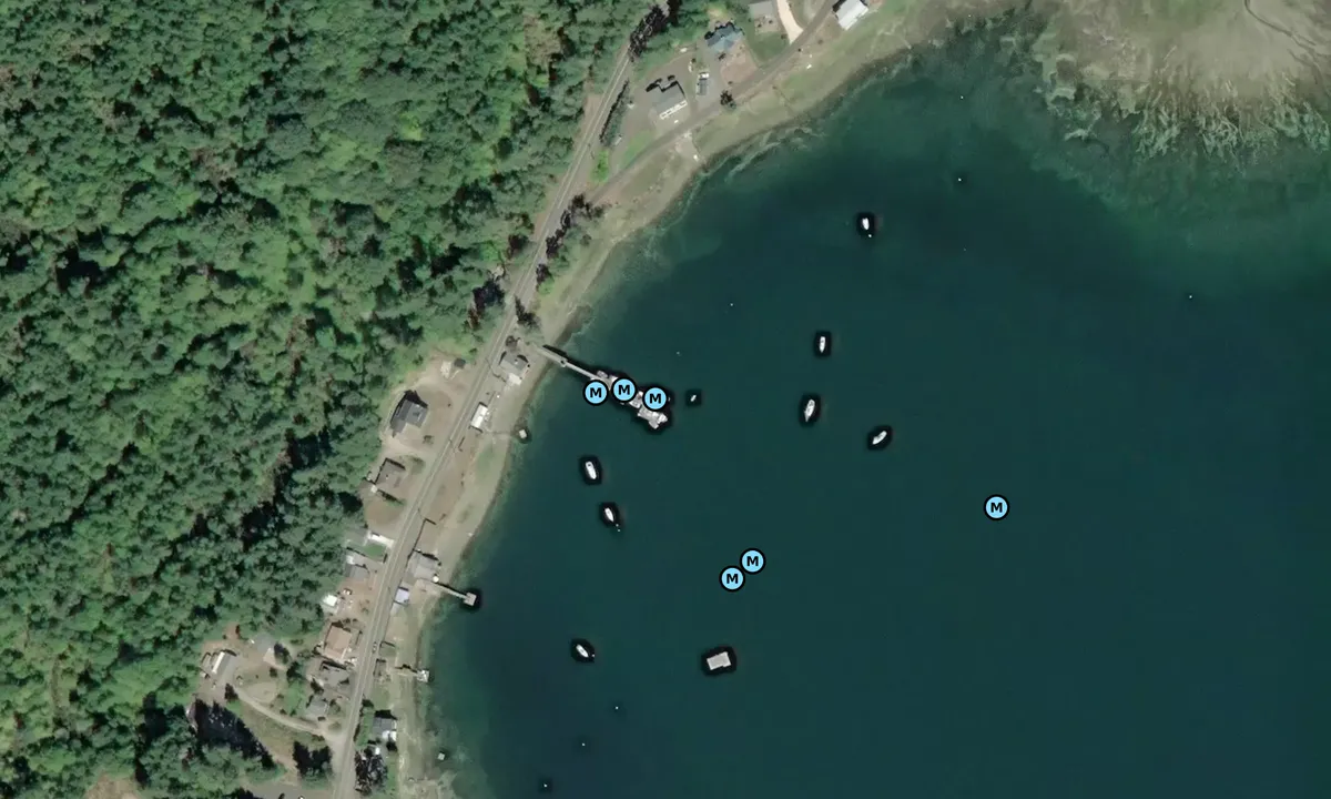 Satelite image of Port of Allyn North Shore Dock