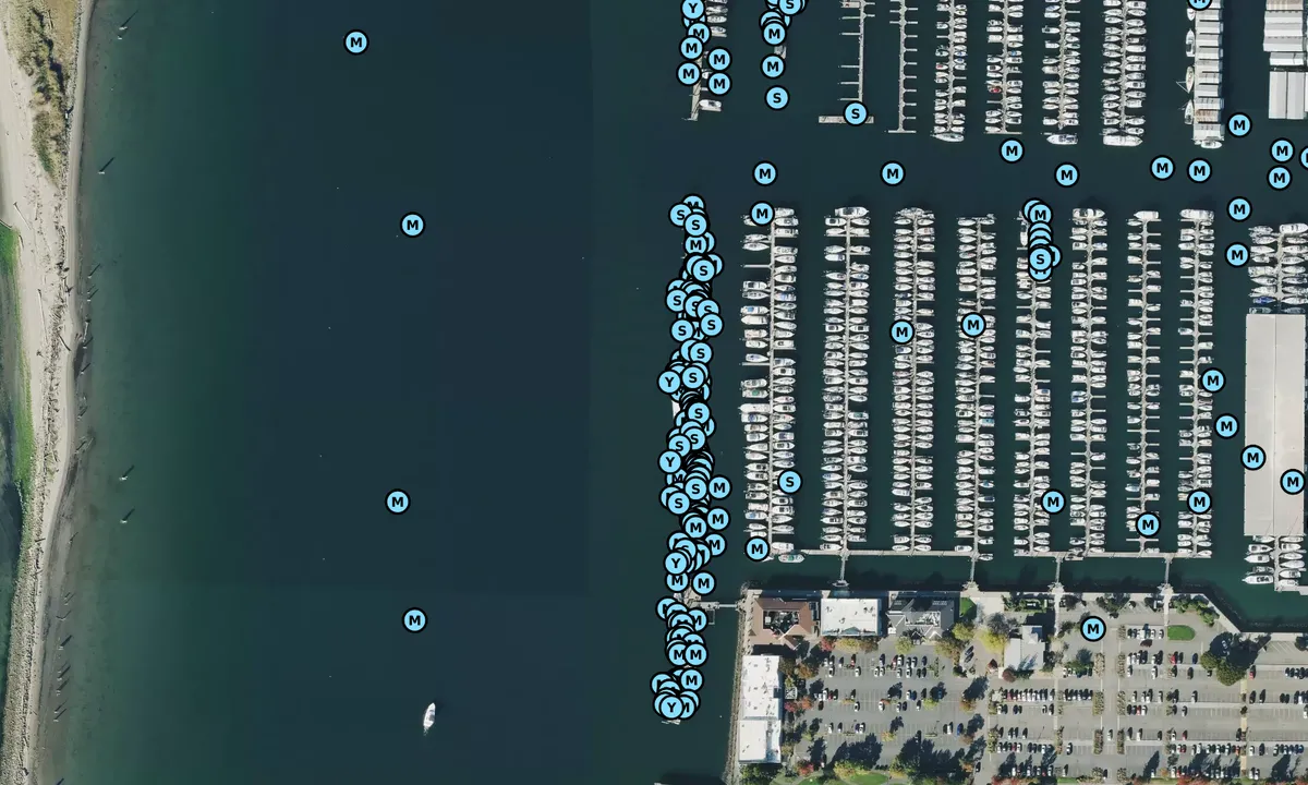 Satelite image of Port of Everett Transient Moorage