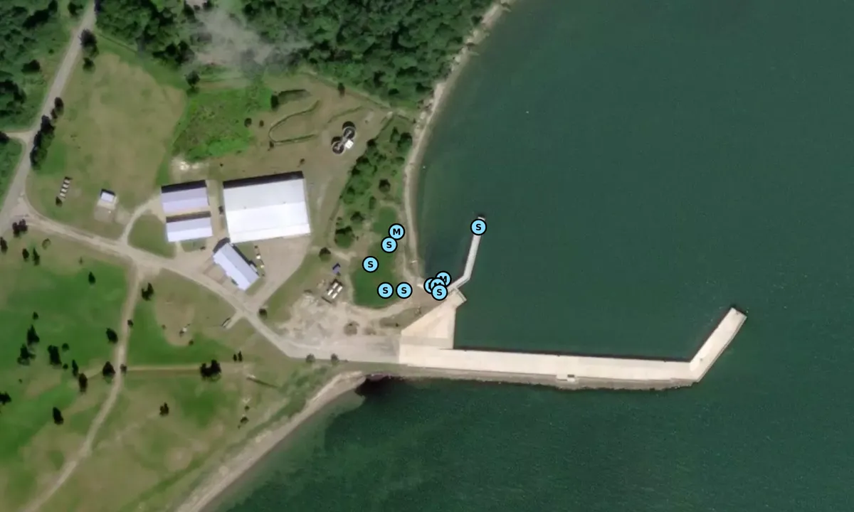 Satelite image of Port of Mõntu