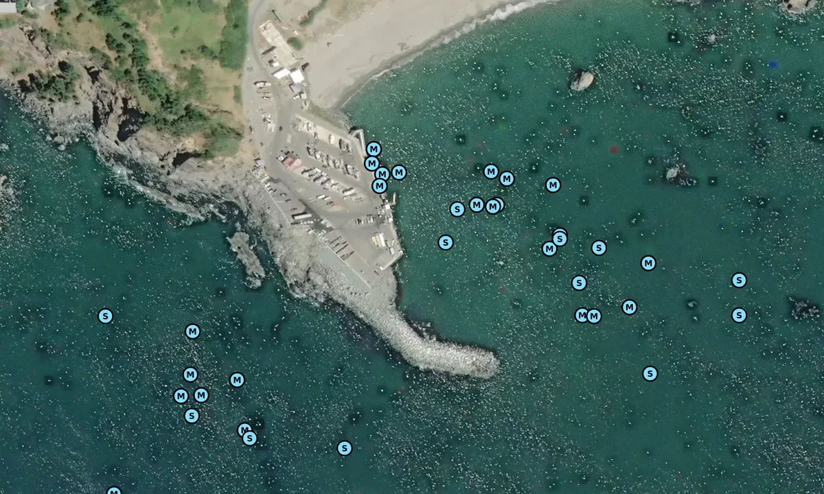 Satelite image of Port of Port Orford