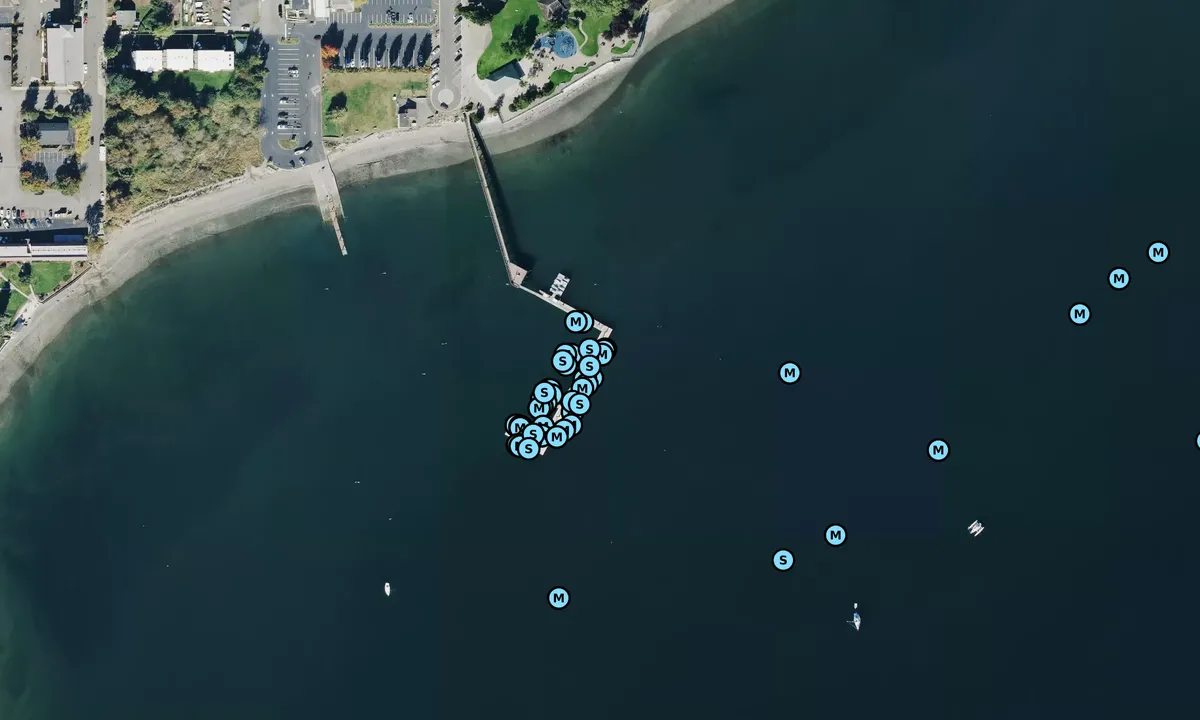 Satelite image of Port of Silverdale