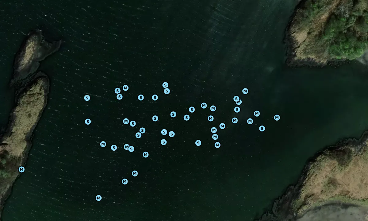 Satelite image of Port Ramsay 1