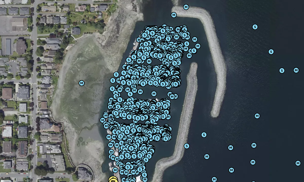 Satelite image of Port Sidney Marina