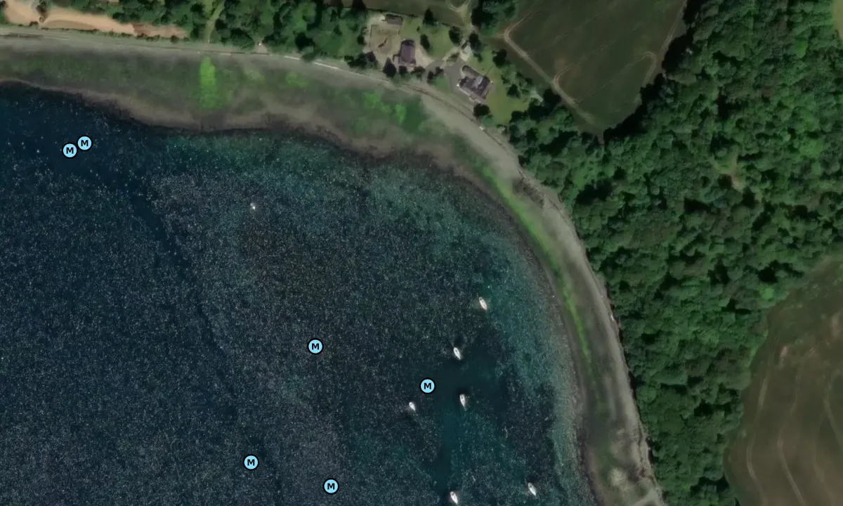 Satelite image of Portaferry