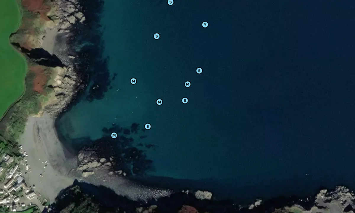 Satelite image of Porthallow Cove