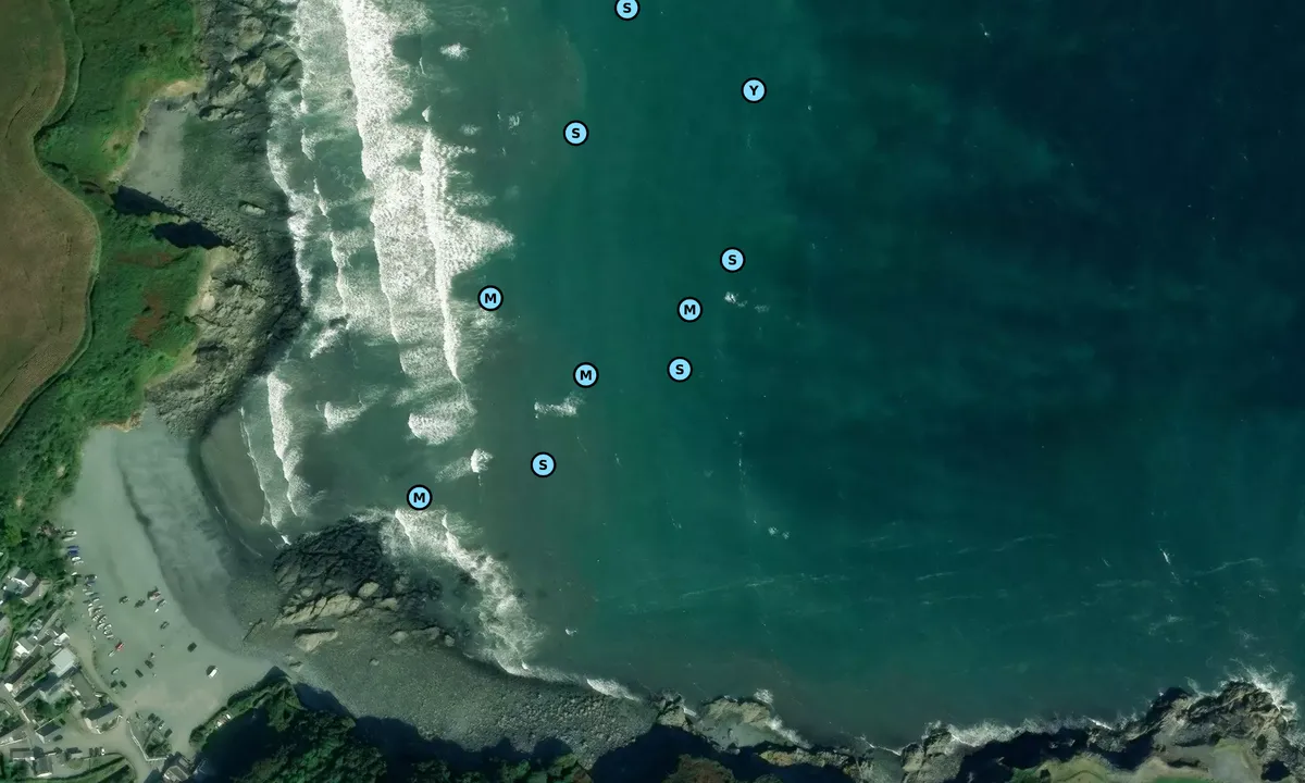 Satelite image of Porthallow Cove